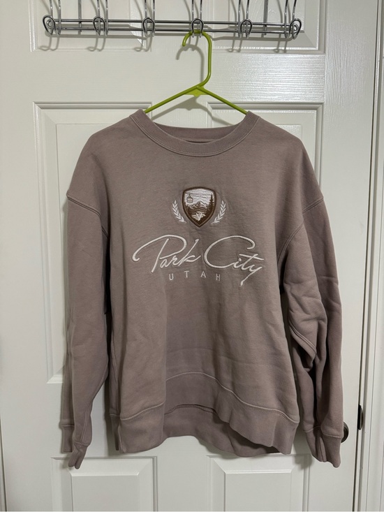 Abercrombie & Fitch Tops - Abercrombie & Fitch Park City Utah Crewneck Sweatshirt - Taupe